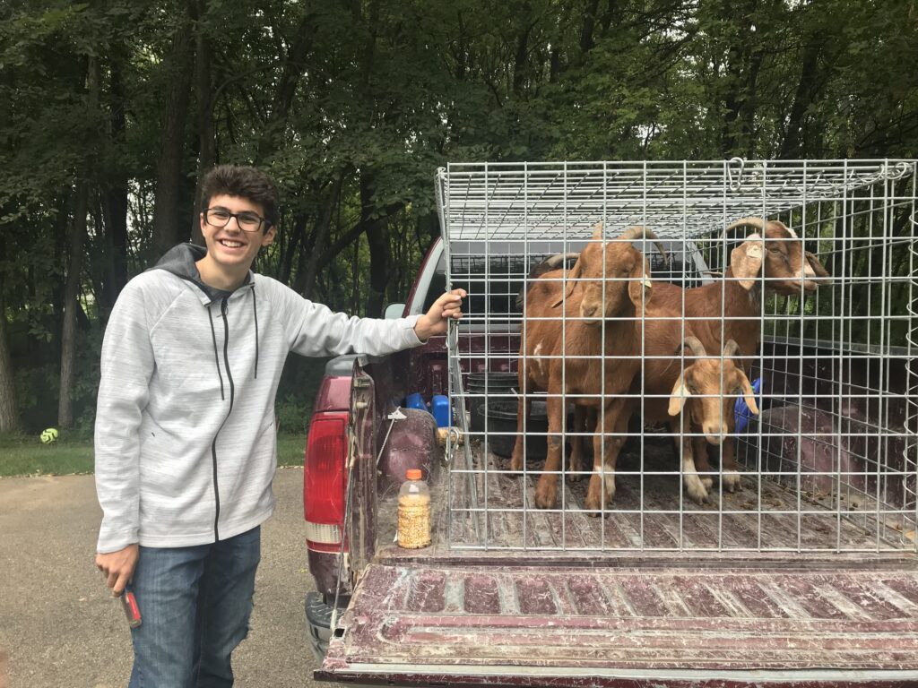 goat rental company